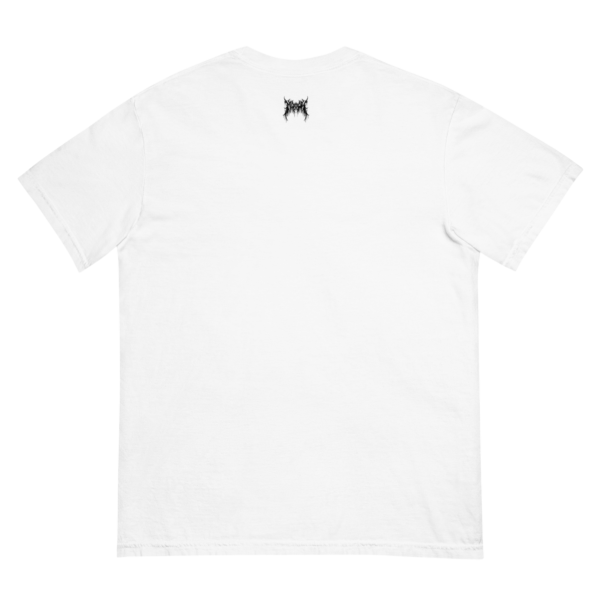 Chloé's Missing T-Shirt