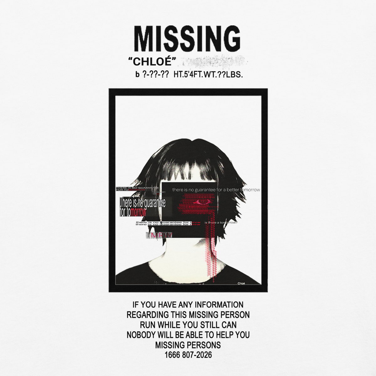 Chloé's Missing T-Shirt
